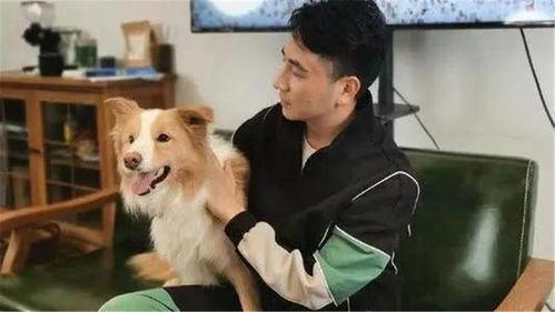 狗子爆料周冬雨视频播放,揭秘幕后故事  第3张